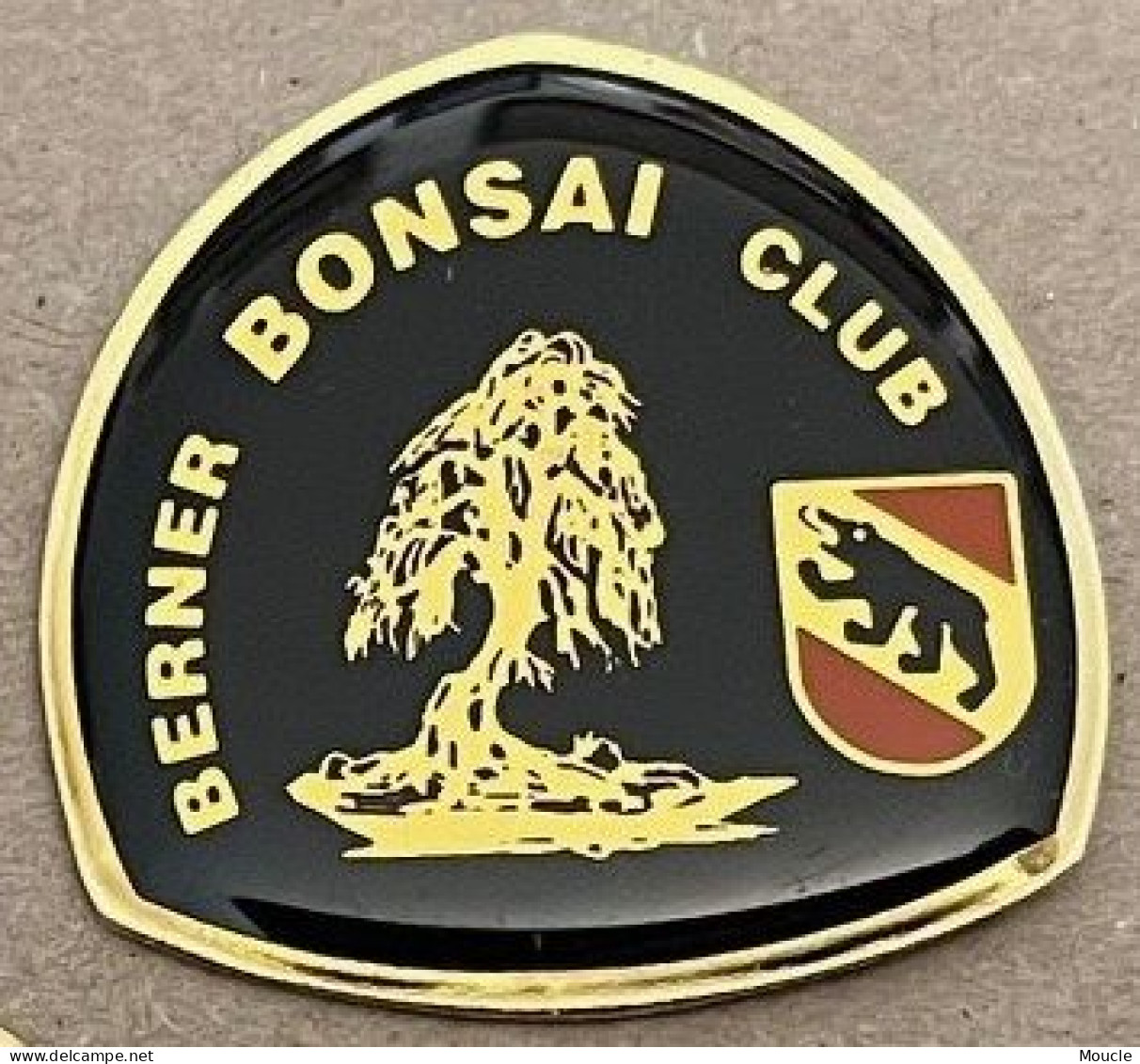 BERNER BONSAI CLUB - BERNE - BERN - SCHWEIZ - SUISSE - SWISS - SVIZZERA - SWITZERLAND - OURS - BÄR  -   (34) - Vereinswesen