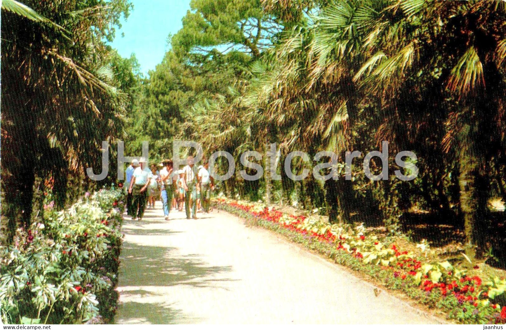 Nikitsky Botanical Garden - Palm Alley In The Lower Park - Crimea - 1974 - Ukraine USSR - Unused - Ukraine