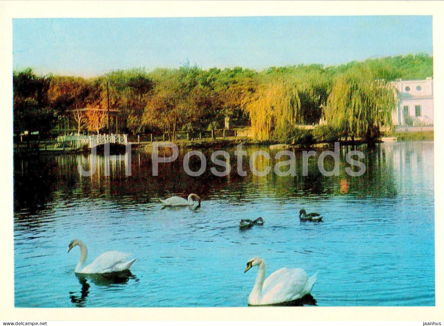 Odessa - Odesa - Lake In The Victory Park - Swan - Birds - 1970 - Ukraine USSR - Unused - Ukraine