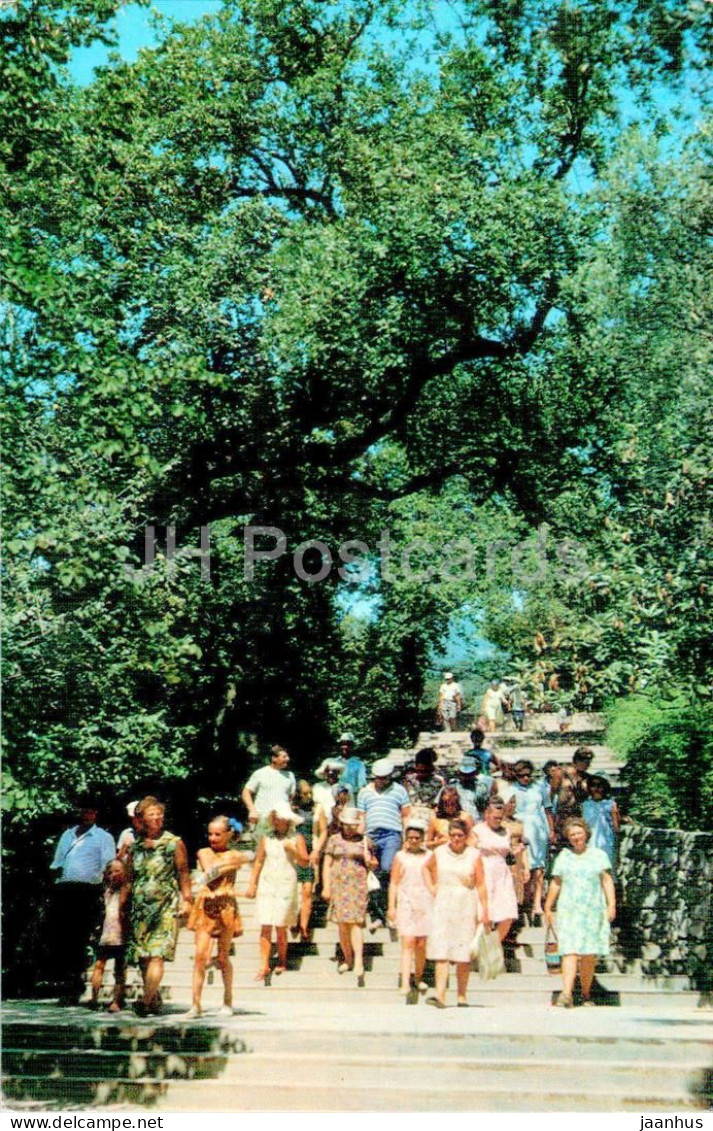 Nikitsky Botanical Garden - Passage To The Lower Park - Crimea - 1974 - Ukraine USSR - Unused - Ukraine