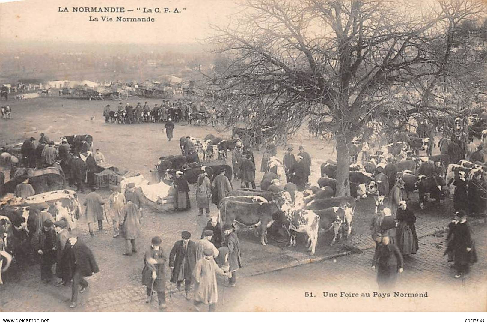 Agriculture - N°91129 - La Normandie - Une Foire Au Pays Normand - Vaches - Autres & Non Classés