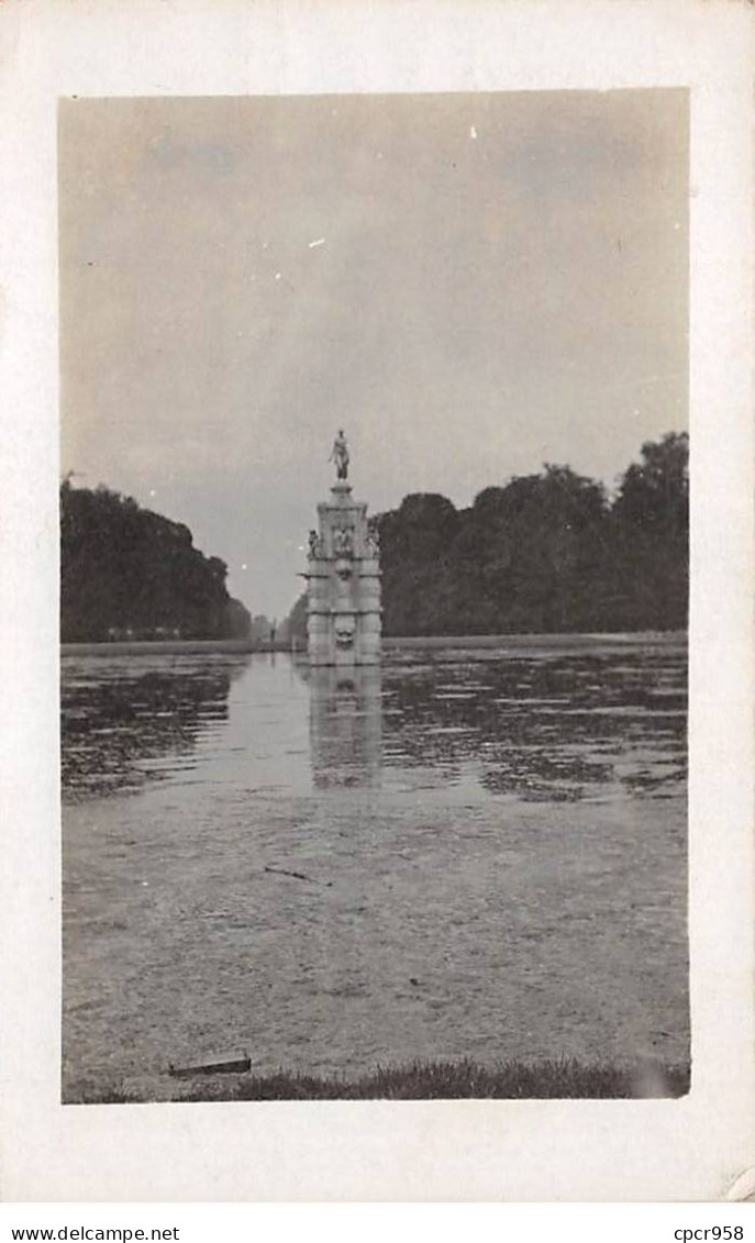 Royaume-Uni - N°90653 - Angleterre -   	This Is Bushy Park In Richmond, London. - Bushley Park - Carte Photo - Other & Unclassified