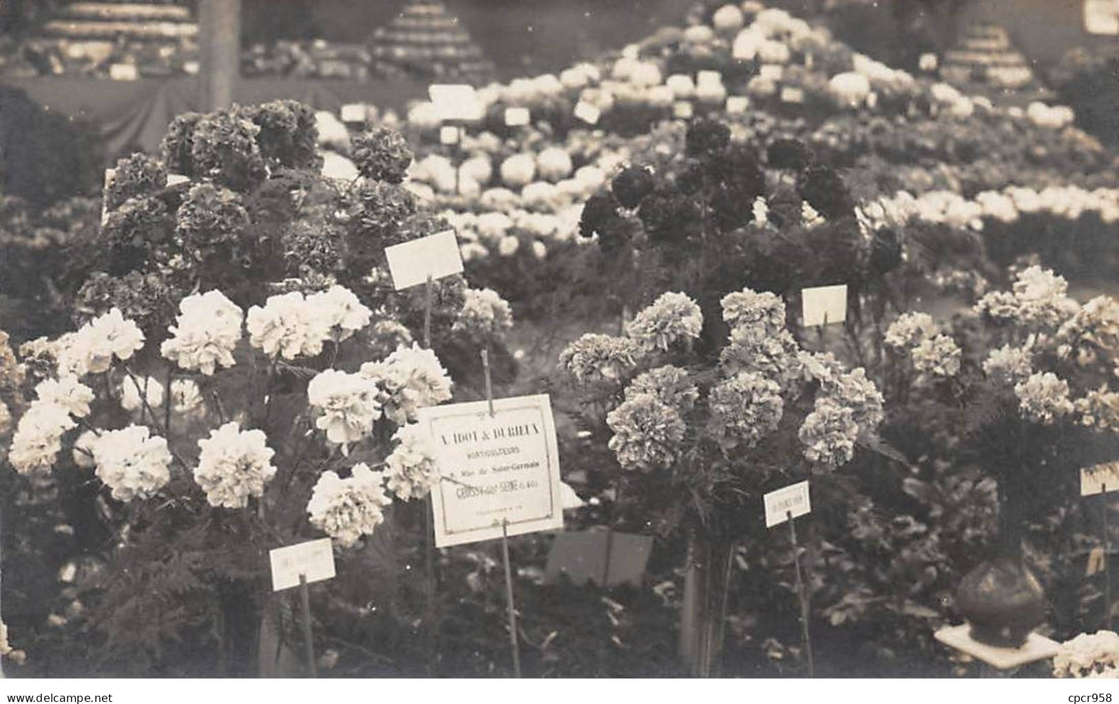 78 - N°90565 - CROISSY-SUR-SEINE - Rue De Saint-Germain - Idot & Durieux, Horticulteurs - Carte Photo - Croissy-sur-Seine