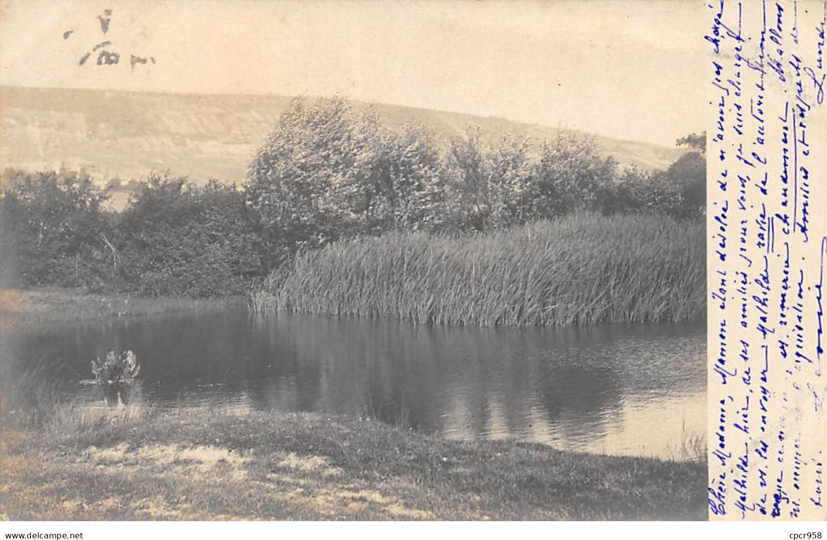 69 - N°91452 - LYON - Un étang Avec Des Roseaux - Carte Photo - Lyon 1