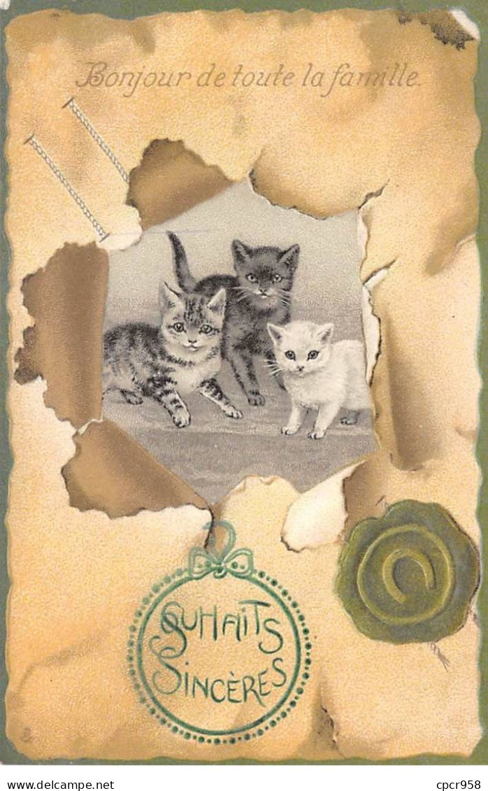 Animaux - N°91217 - Chat - Souhaits Sincères - Bonjour De Toute La Famille - Trois Chatons - Carte Gaufrée - Chats