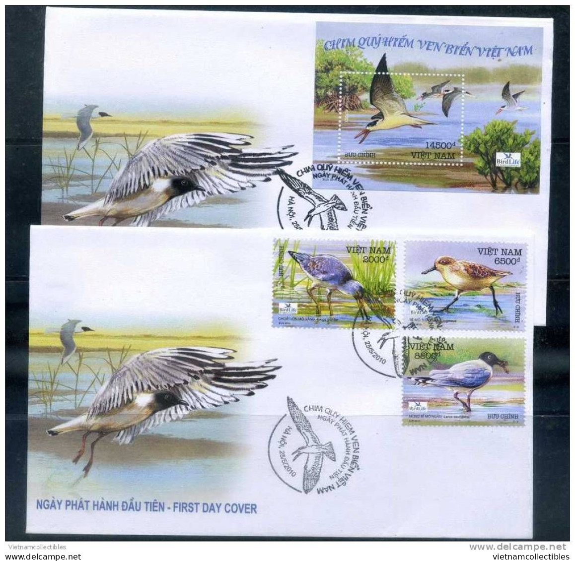 FDC Vietnam Viet Nam Covers 2010 : Sea Birds / Bird (Ms992) - Vietnam