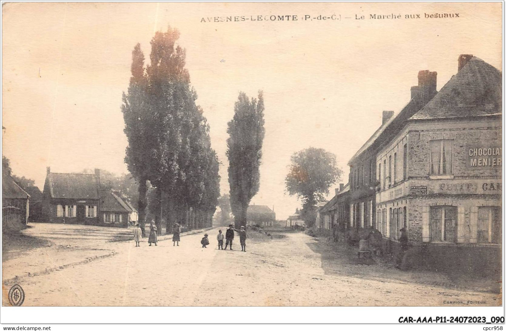 CAR-AAAP11-62-0821 - AVESNES-LE-COMTE - Le Marché Aux Bestiaux - Avesnes Le Comte