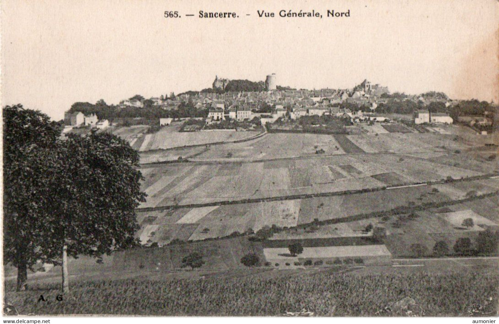 SANCERRE ( 18 ) - Vue Générale Nord - Sancerre