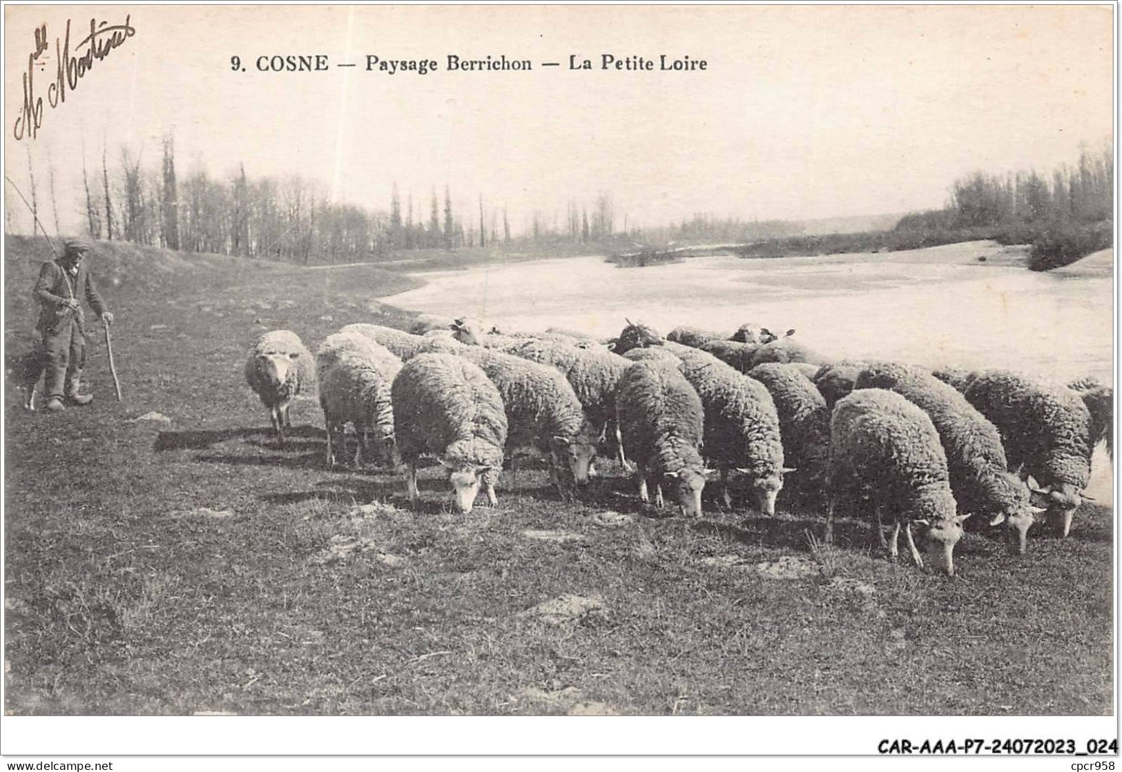 CAR-AAAP7-58-0466 - COSNE - Paysage Berrichon - La Petite Loire - Agriculture, Troupeau De Moutons - Cosne Cours Sur Loire