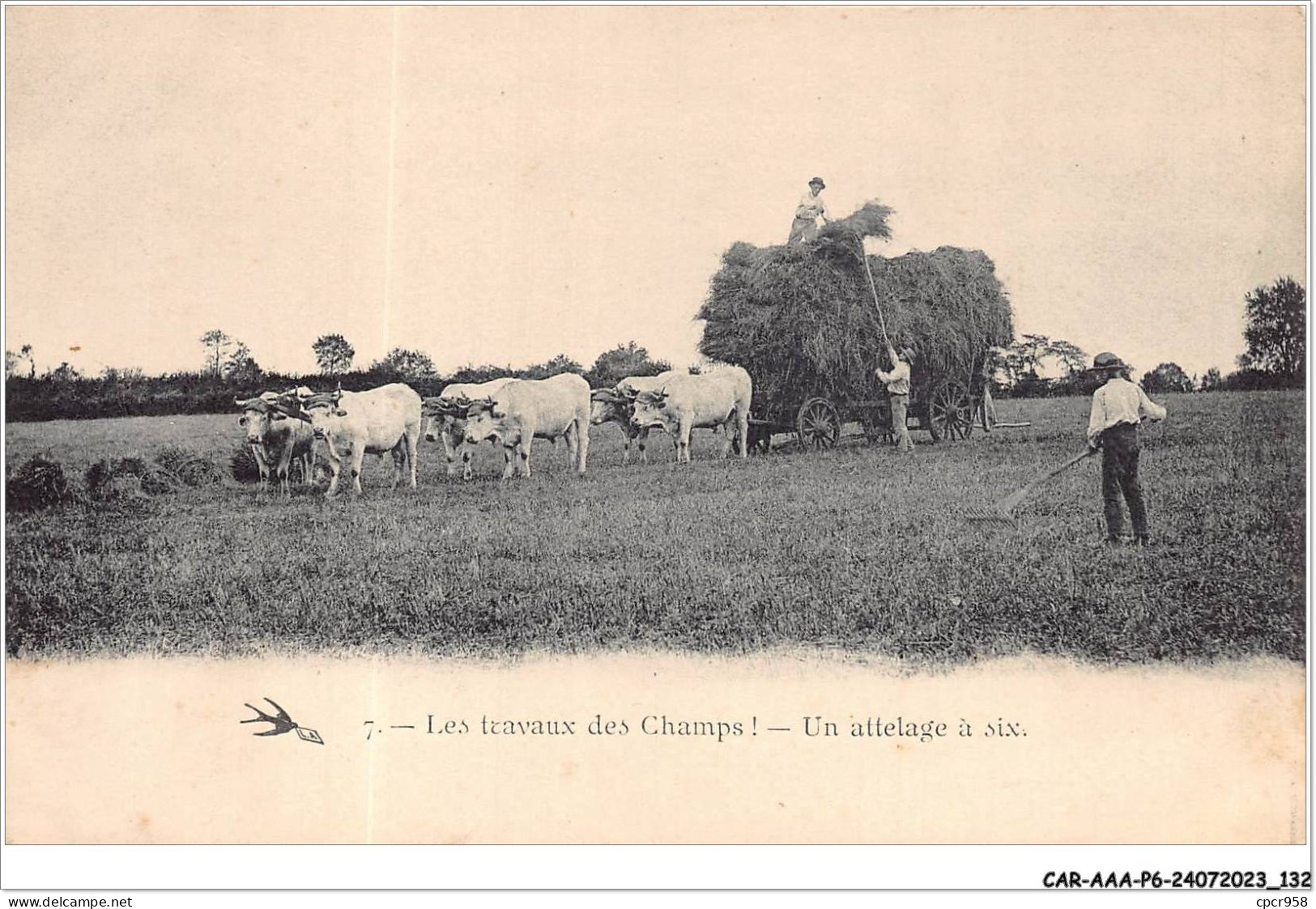 CAR-AAAP6-58-0447 - Les Travaux Des Champs  - Un Attelage A Six- Agriculture, BïÂ¿Â½ufs - Other & Unclassified