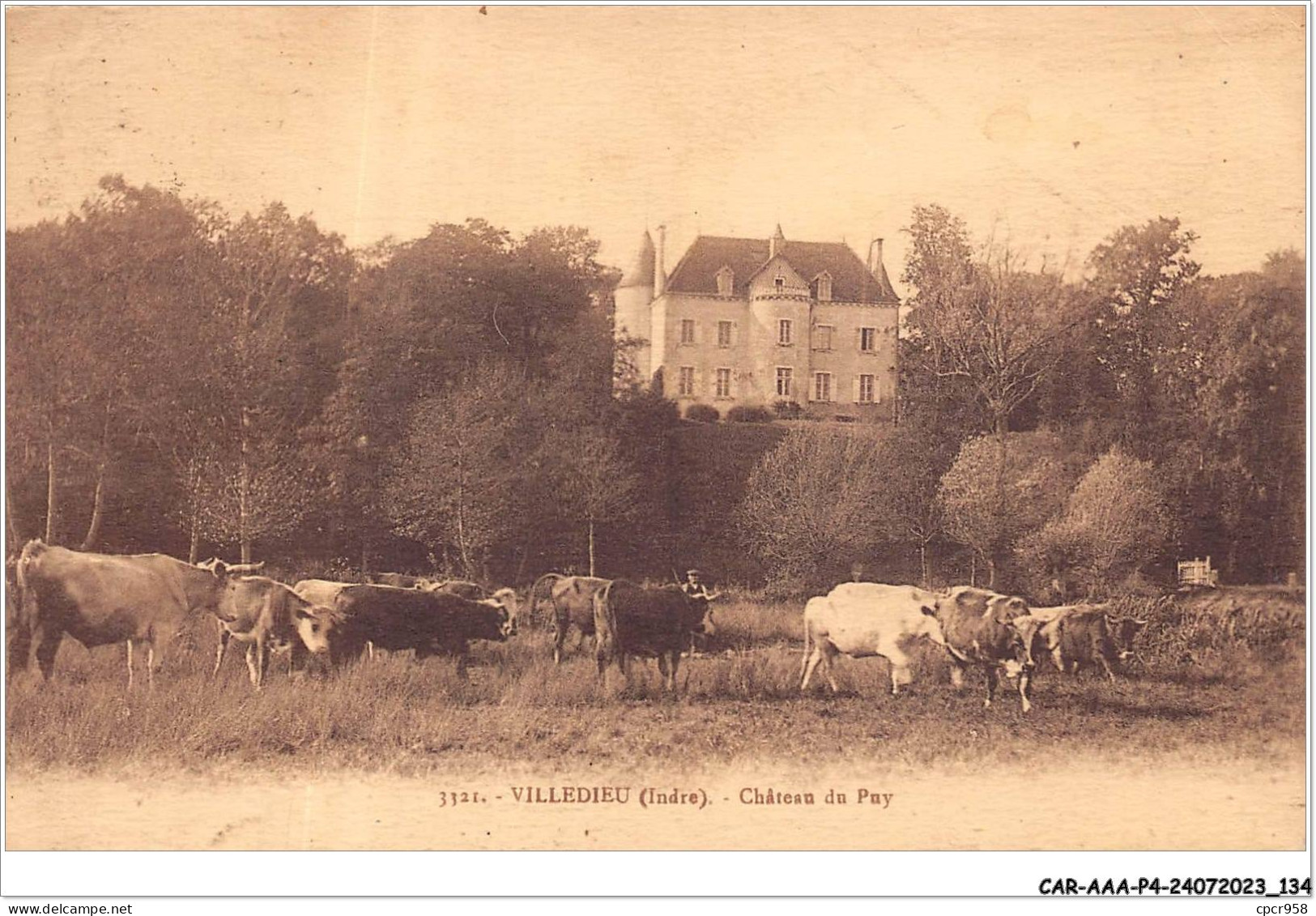 CAR-AAAP4-36-0299 - VILLEDIEU - Château Du Puy - Agriculture - Otros & Sin Clasificación