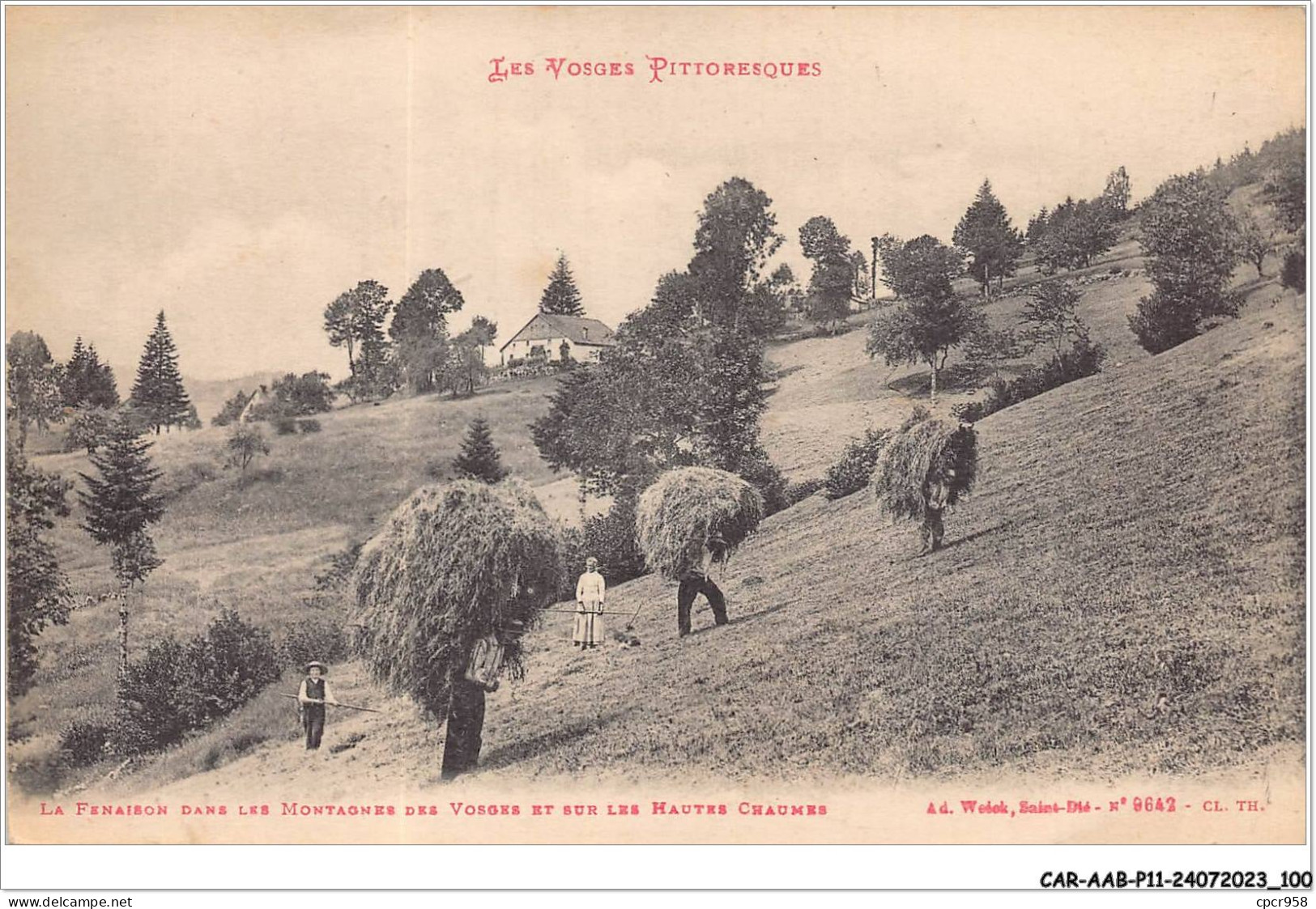 CAR-AABP11-88-0871 - La Fenaison Dans Les Montagnes Des Vosges Et Sur Les Hautes Chaumes - Agriculture - Sonstige & Ohne Zuordnung