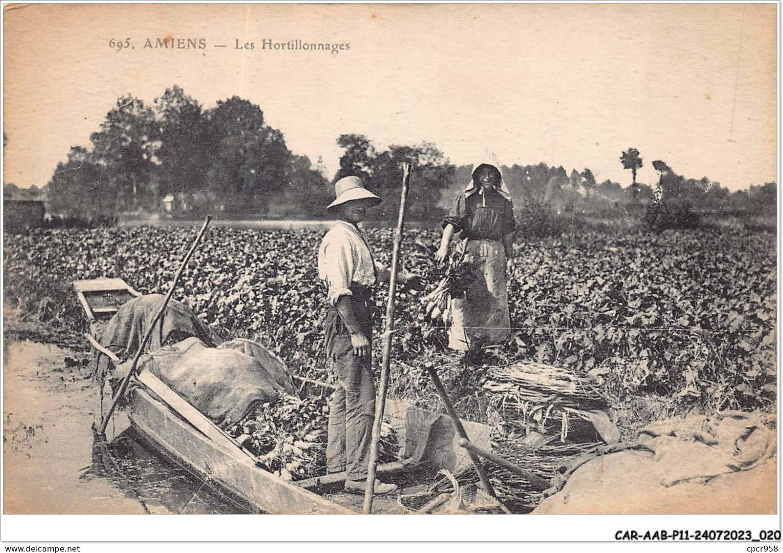 CAR-AABP11-80-0831 - AMIENS - Les Hortillonnages - Agriculture - Amiens