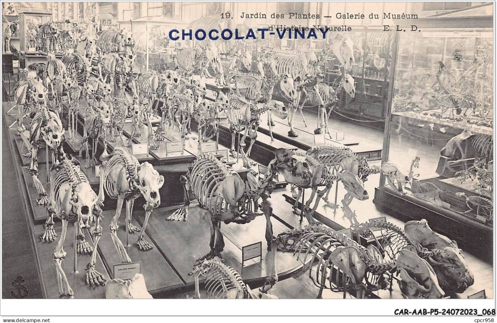 CAR-AABP5-75-0352 - PARIS V - Jardins Des Plantes - Galerie Muséum - Publicite Chocolat-Vinay - Arrondissement: 05