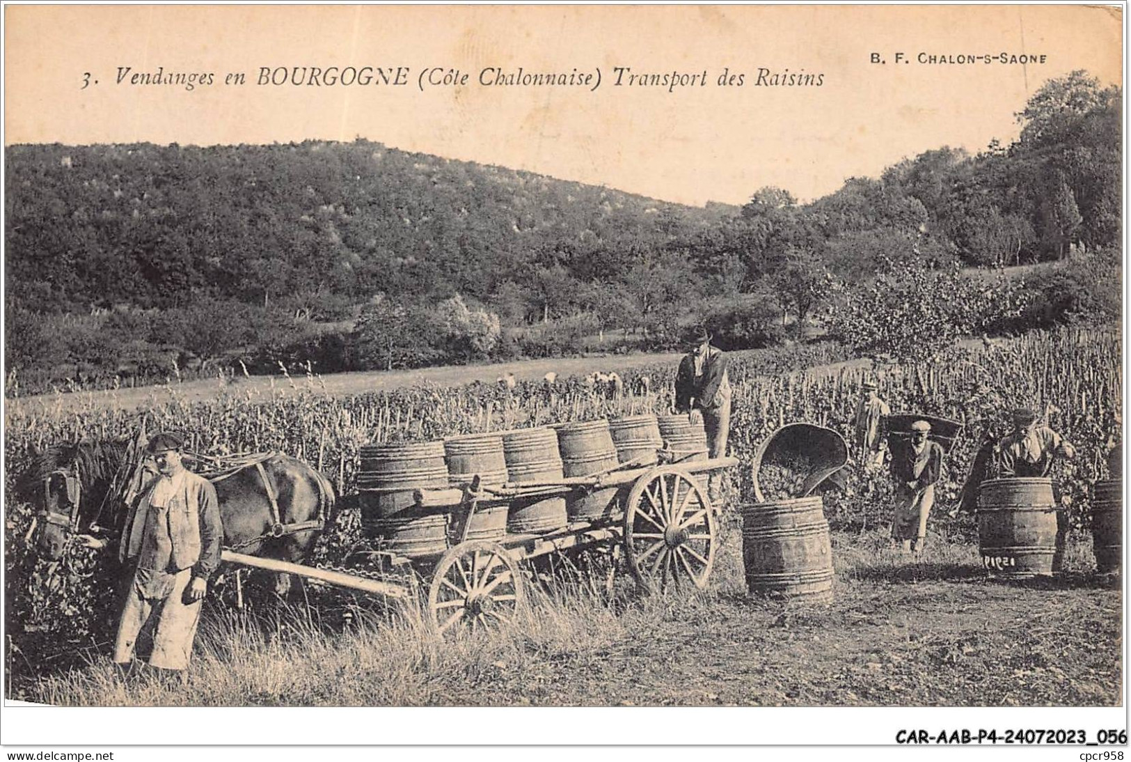 CAR-AABP4-71-0277 - Vendange De BOURGOGNE - Transport Des Raisins - Autres & Non Classés