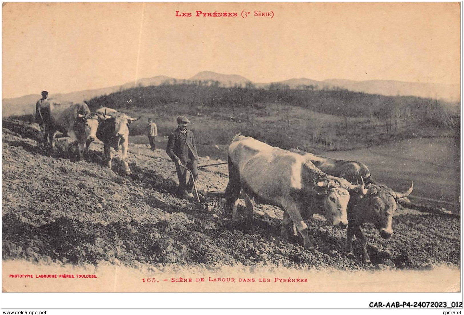 CAR-AABP4-66-0255 - Scene De Labour Dans Les Pyrenees - Agriculture - Other & Unclassified