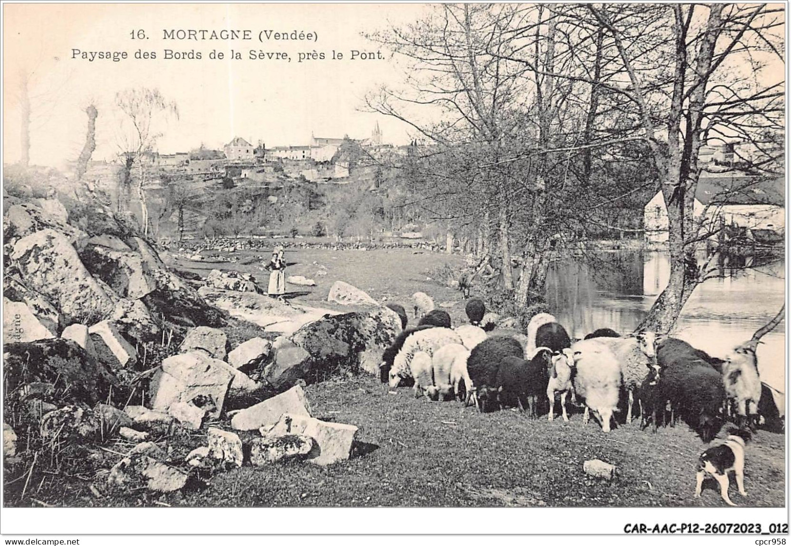 CAR-AACP12-85-1018 - MORTAGNE - Paysage Des Bords De La Sevre - Pres Le Pont - Mortagne Sur Sevre