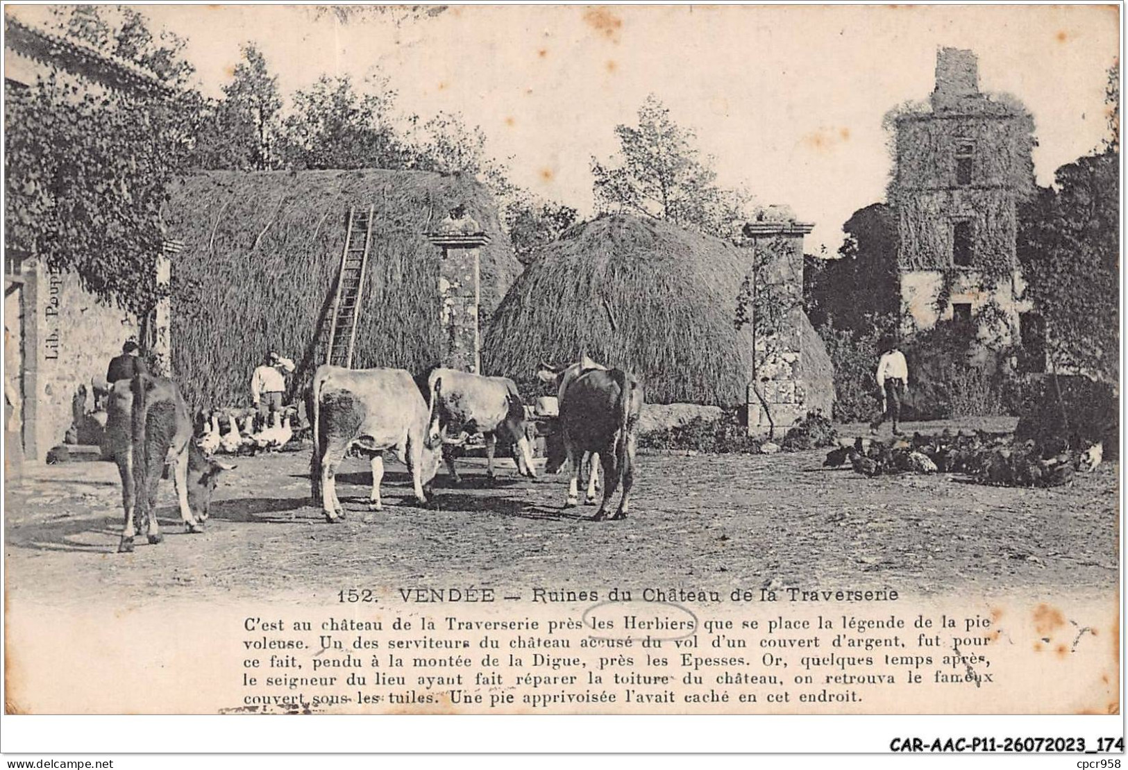 CAR-AACP11-85-1005 - VENDEE - Ruines Du Chateau De La Traverserie - Agriculture - Other & Unclassified