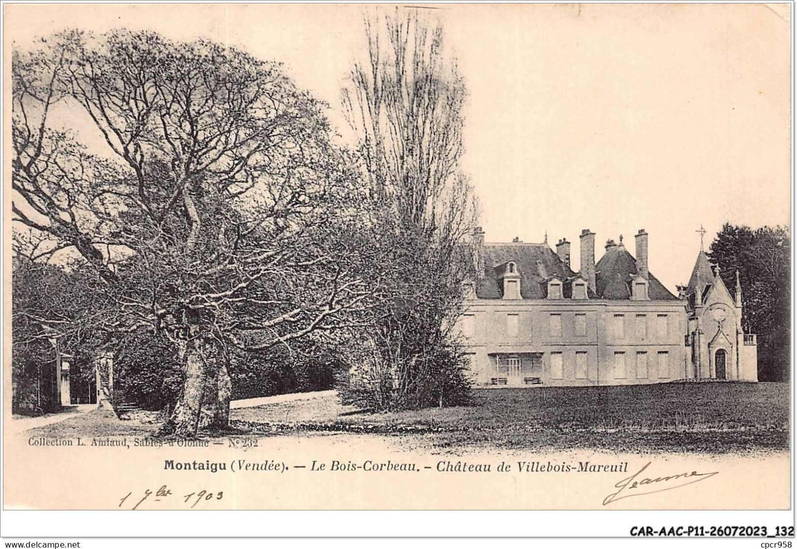 CAR-AACP11-85-0984 - MONTAIGU - Le Bois-corbeau - Chateau De Villebois-mareuil - Montaigu