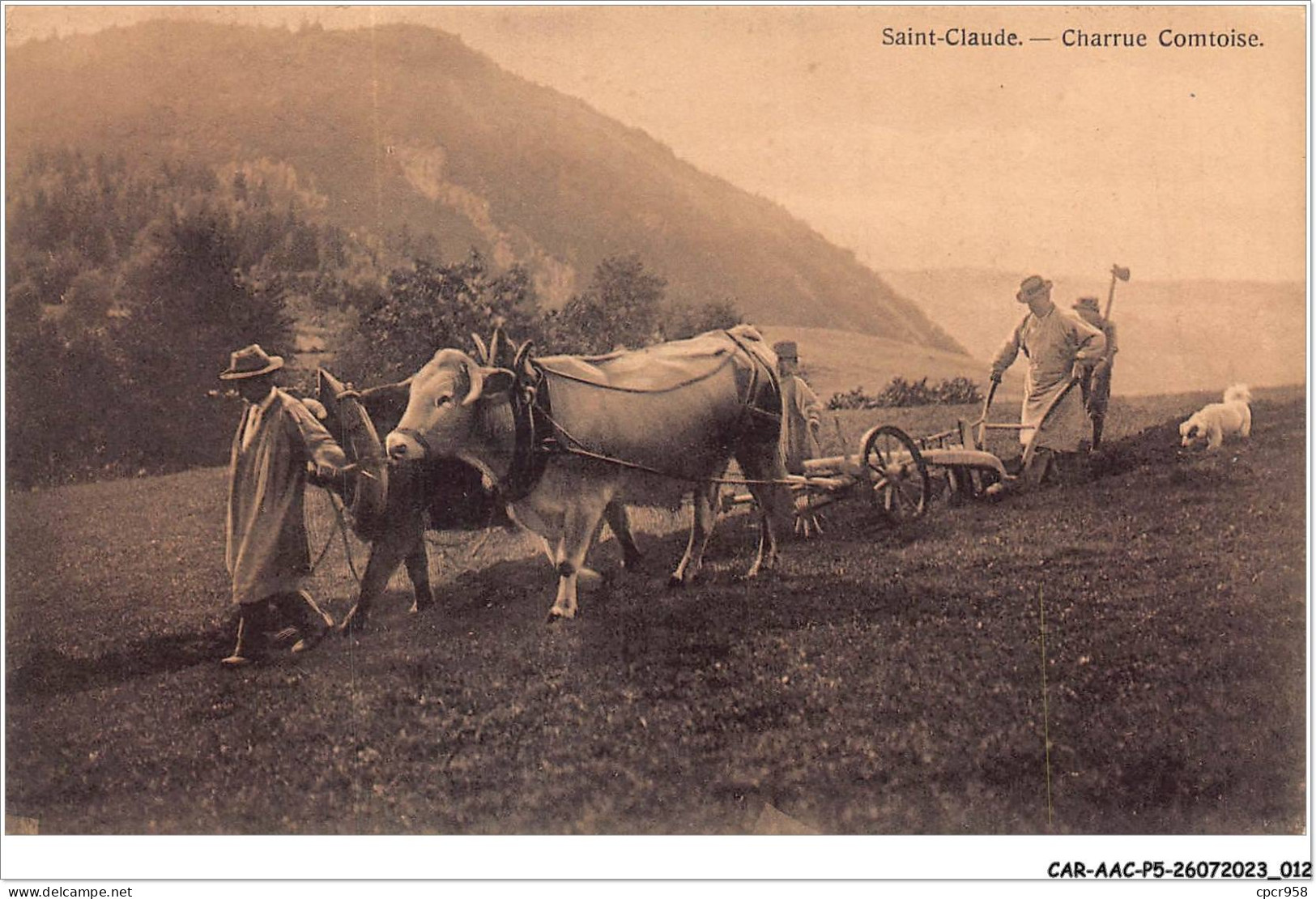 CAR-AACP5-39-0362 - SAINT-CLAUDE - Charrue Comtoise - Agriculture - Saint Claude