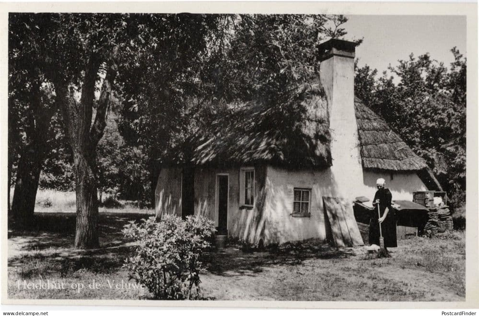 Lady Broom Sweeping Gelderland Veluwe Heidehut Holland RPC Postcard - Other & Unclassified