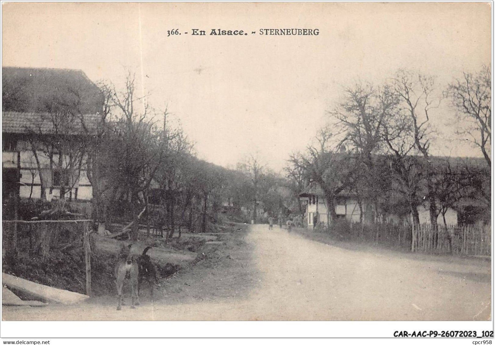 CAR-AACP9-68-0777 - En Alsace - STERNEUBERG - Autres & Non Classés