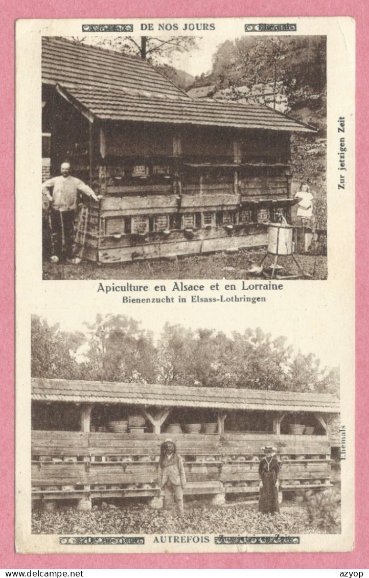 67 - Carte écrite De DOSSENHEIM - Apiculture En ALSACE De Nos Jours Et Autrefois - Bienenzucht In Elsass-Lothringen - Andere & Zonder Classificatie