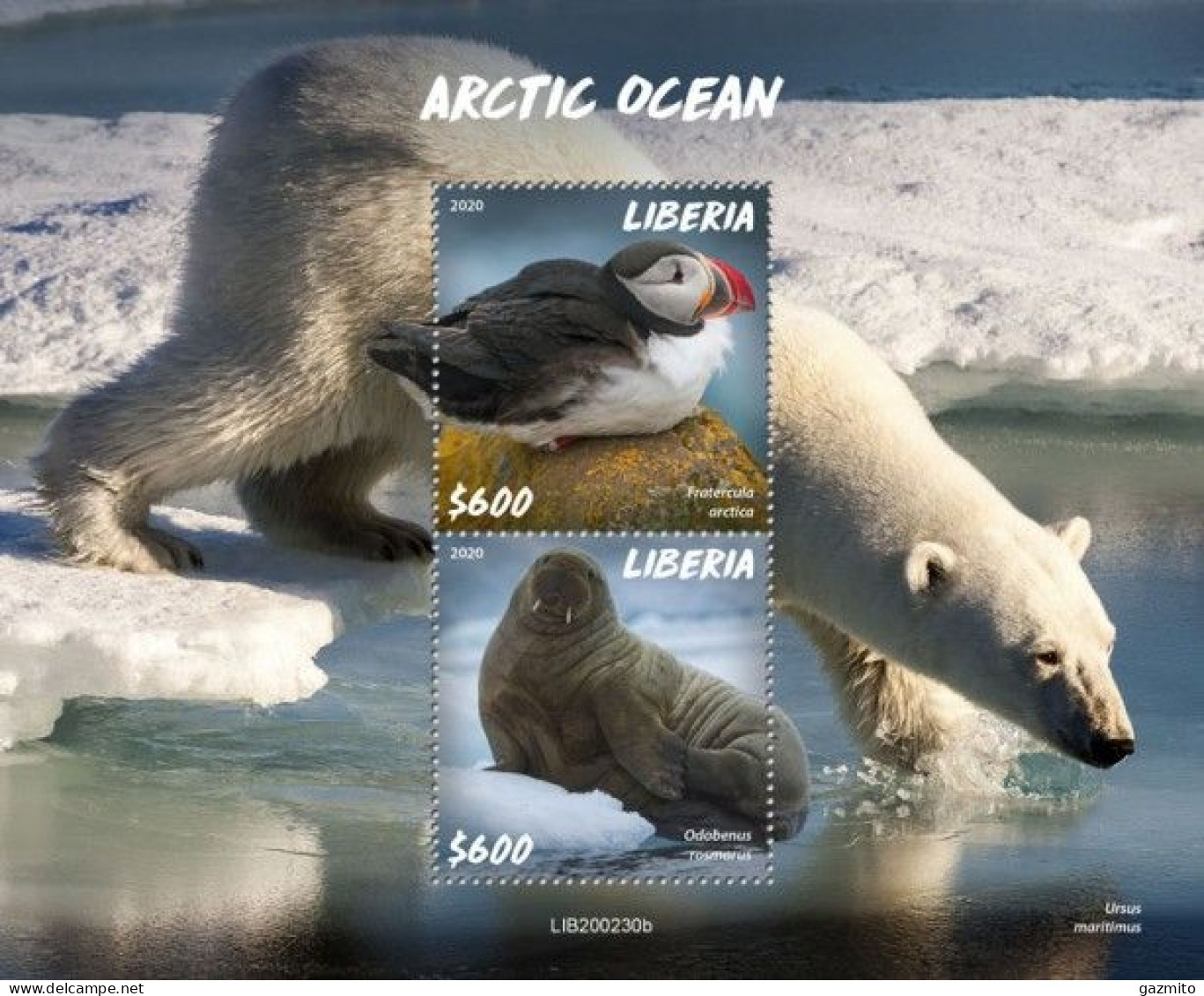 Liberia 2020, Animals In Artic, Polar Bear, Bird, BF - Liberia