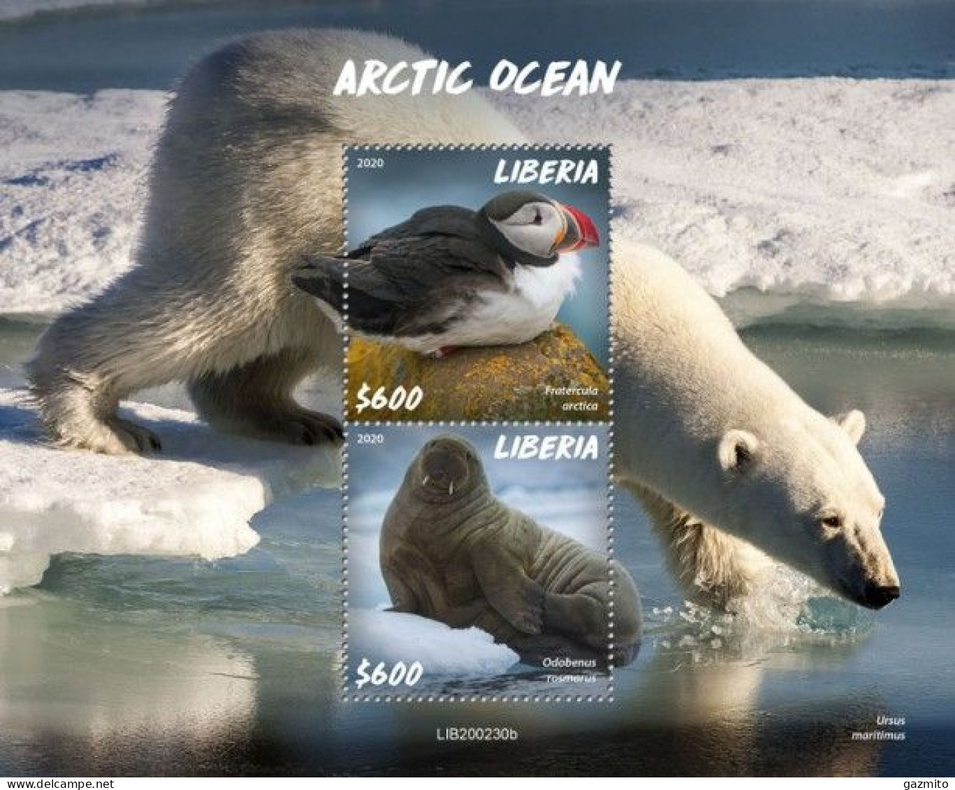 Liberia 2020, Animals In Artic, Polar Bear, Bird, BF - Andere & Zonder Classificatie