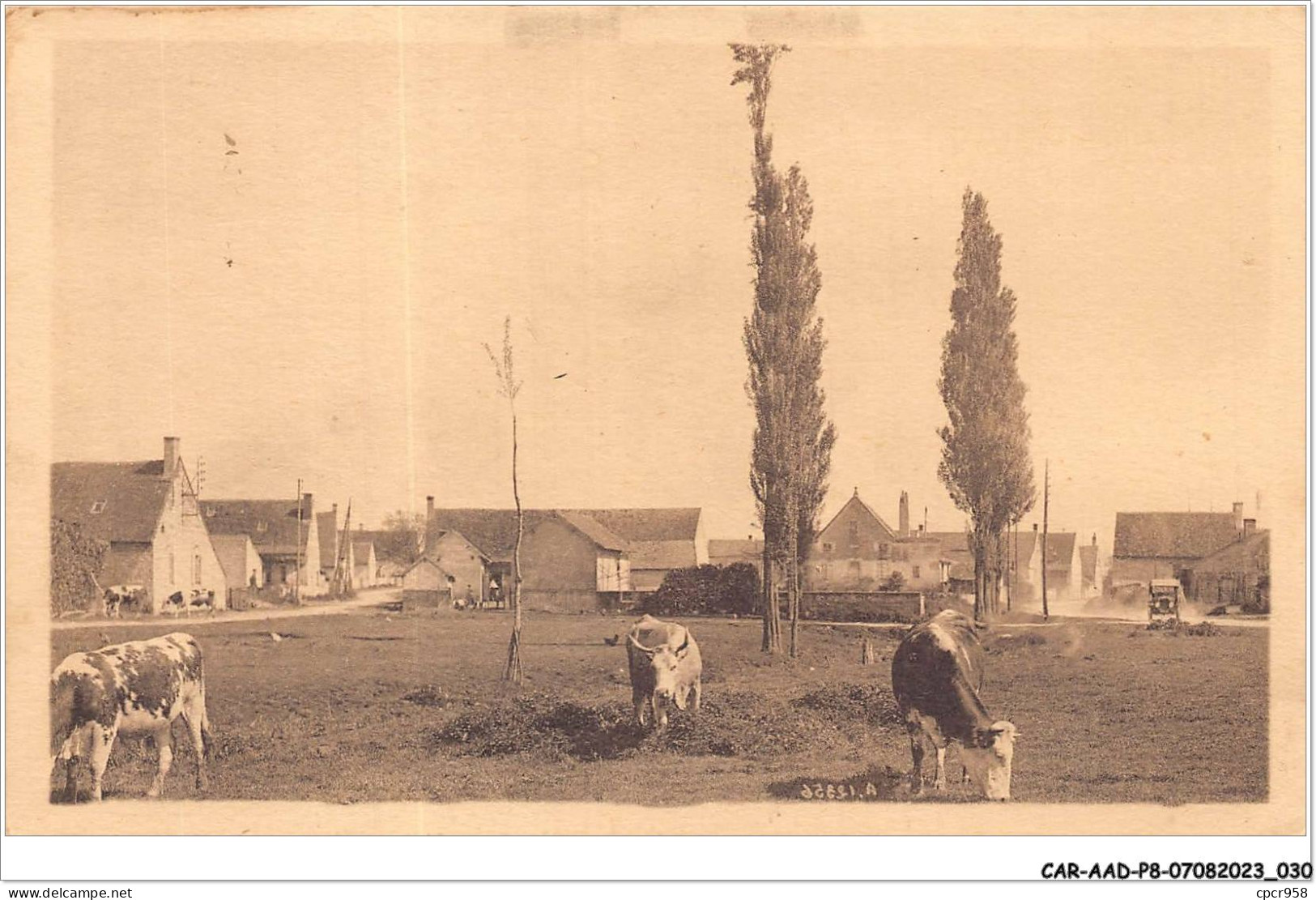 CAR-AADP8-71-0638 - SAINT MARCEL LES CHALON - La Noue - Sonstige & Ohne Zuordnung