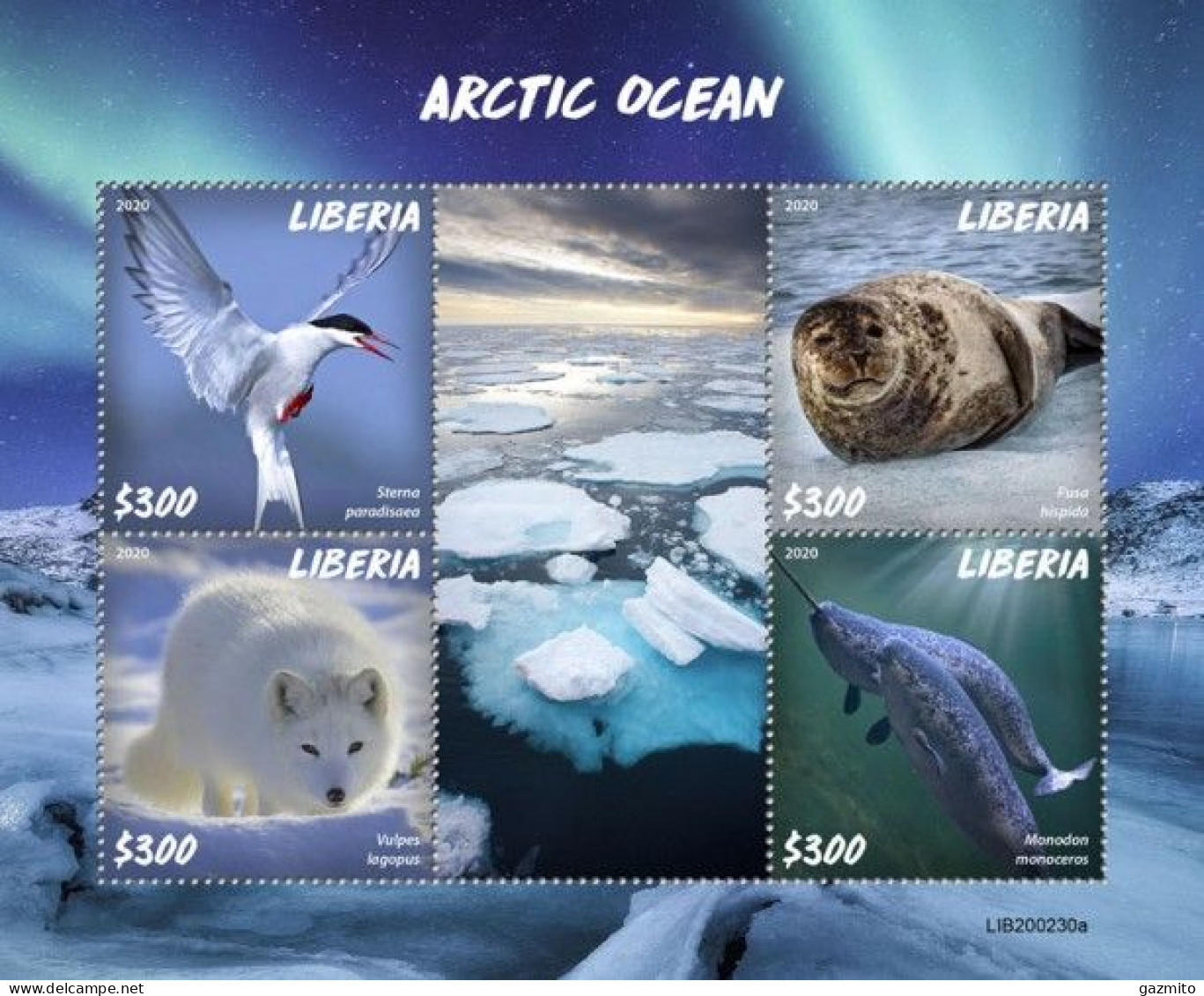 Liberia 2020, Animals In Artic, Bird, Whales, BF - Albatros