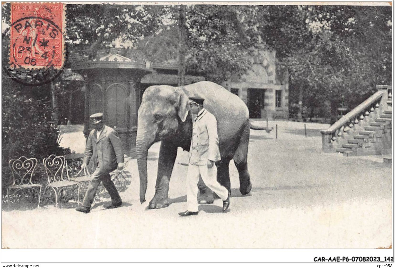 CAR-AAEP6-75-0576 - PARIS - Jardin D'Acclimatation - Vue D'un Elephant - Other & Unclassified