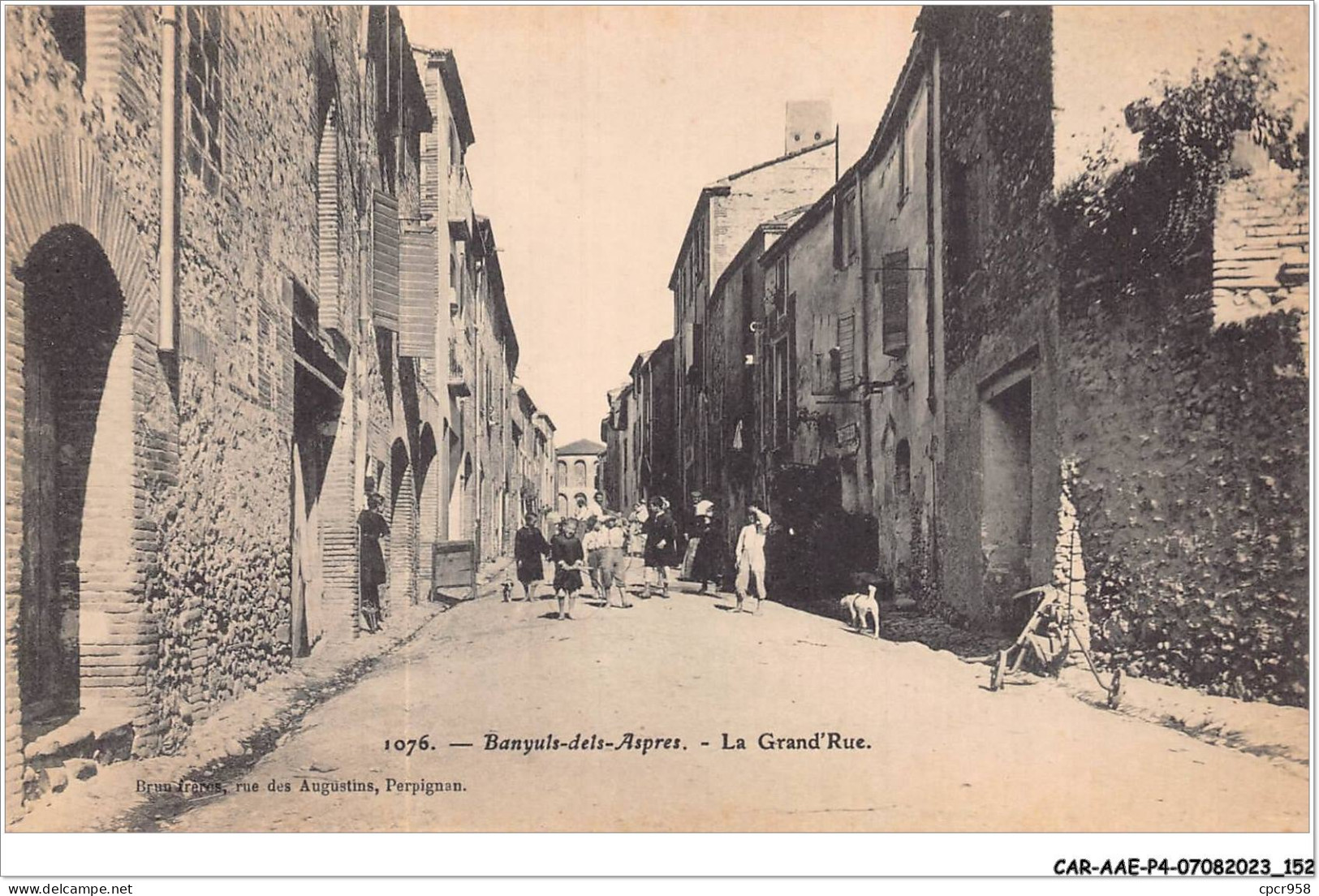 CAR-AAEP4-66-0377 - BANYULS-dels-aspres - La Grand'rue - Banyuls Sur Mer