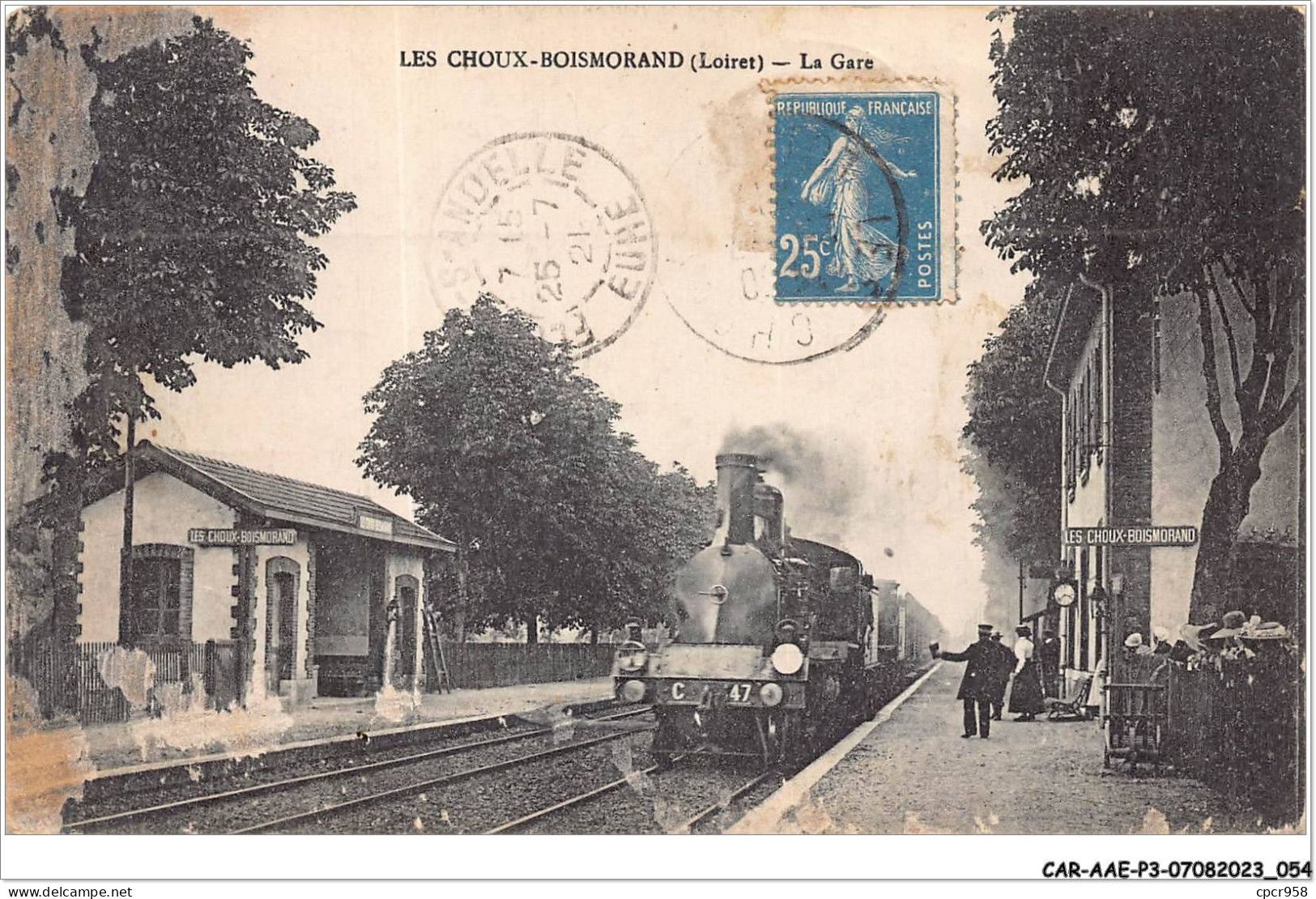 CAR-AAEP3-45-0230 - LES CHOUX-BOISMORAND - La Gare - Train - Carte Vendue En L'etat - Autres & Non Classés