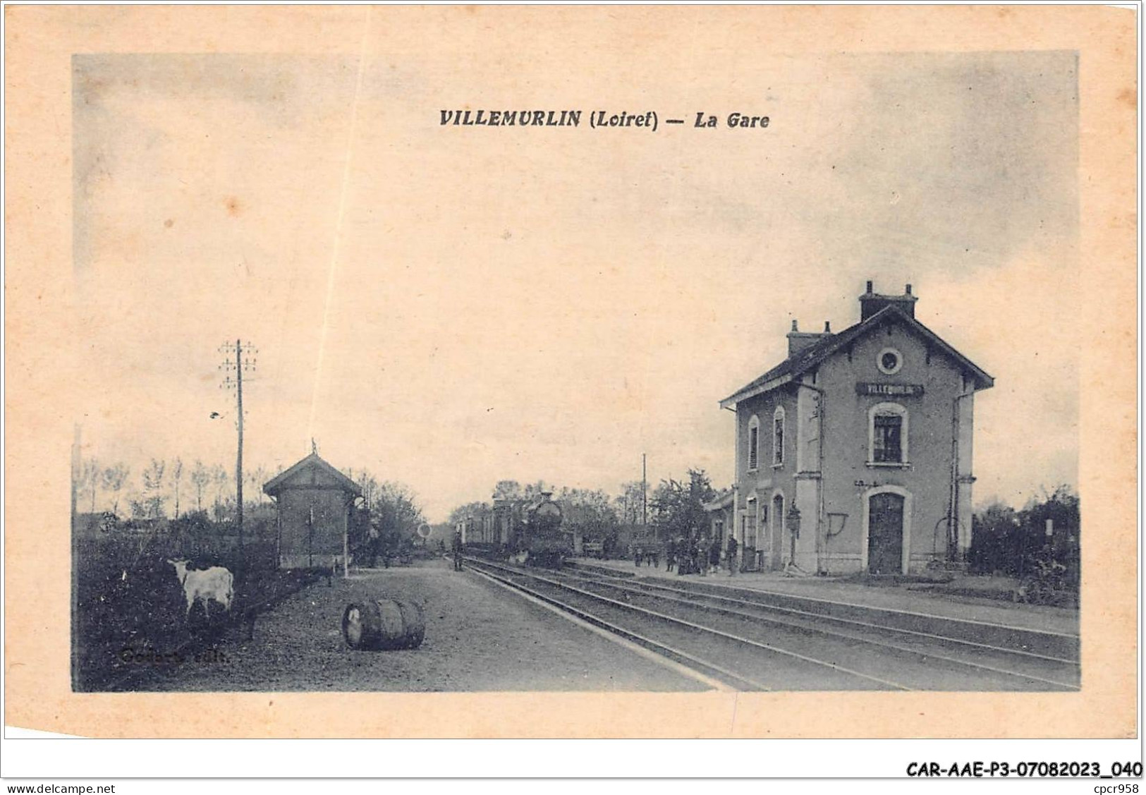 CAR-AAEP3-45-0223 - VILLEMURLIN - La Gare - Train - Autres & Non Classés