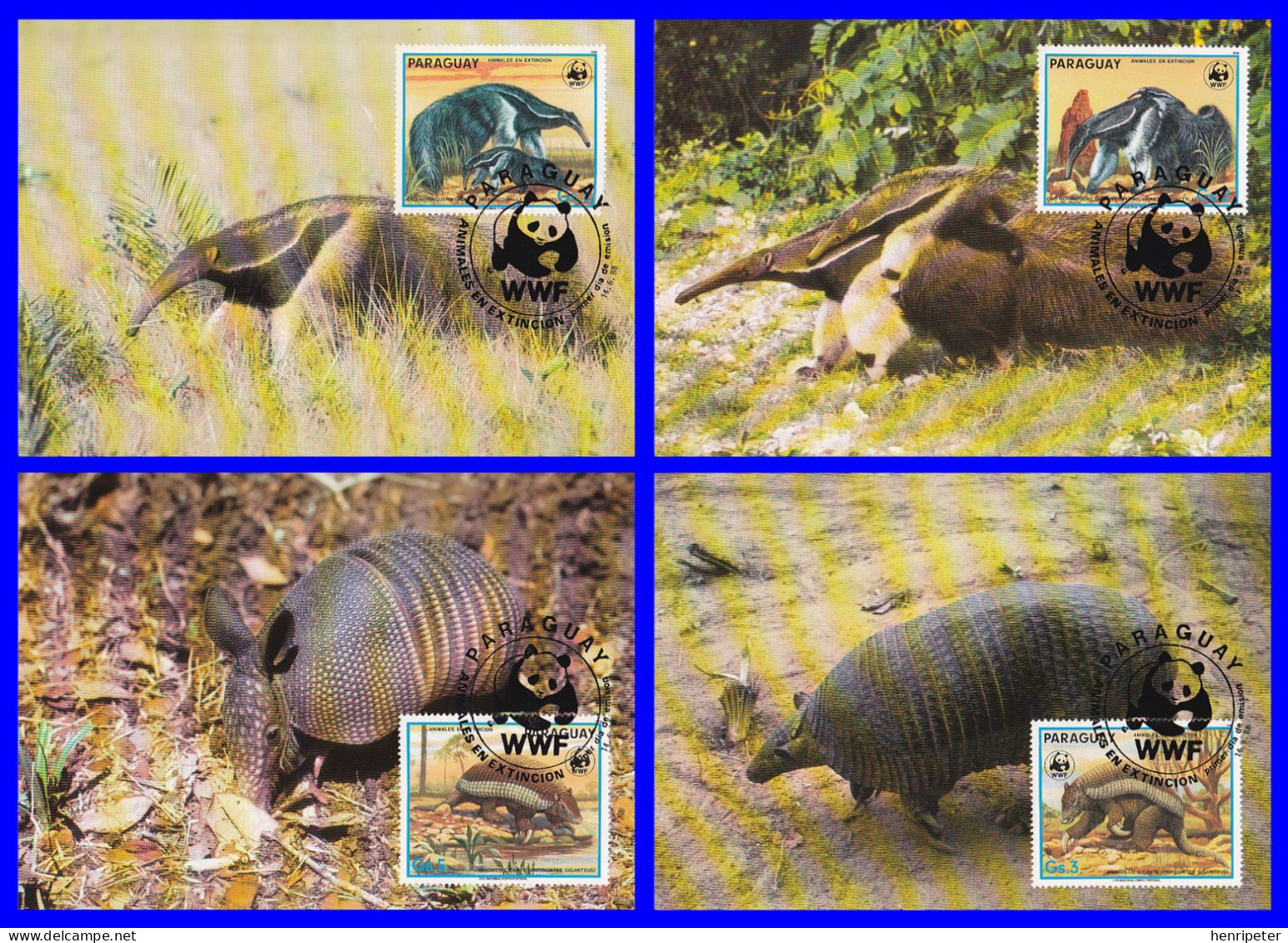 Série De 4 Cartes Maxima - Faune En Danger D'extinction - Fourmilier Géant Tatou Géant Tatou à 9 Bandes - Paraguay 1988 - Paraguay