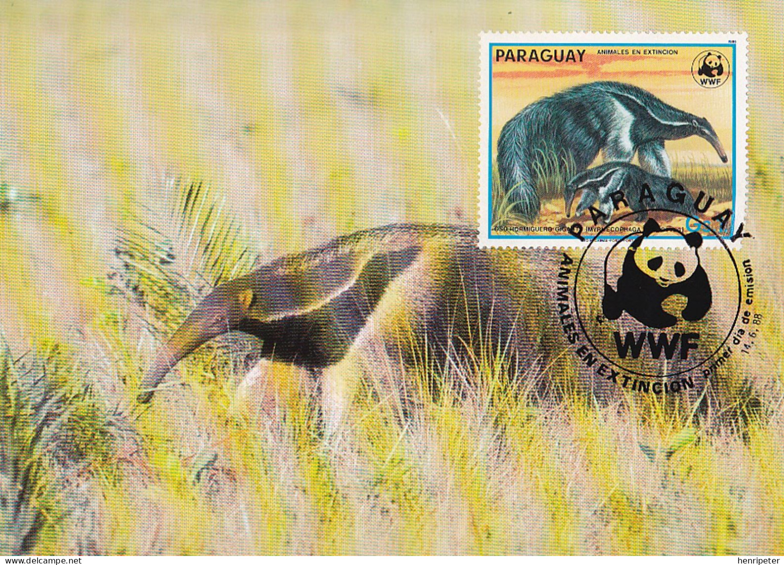 Série De 4 Cartes Maxima - Faune En Danger D'extinction - Fourmilier Géant Tatou Géant Tatou à 9 Bandes - Paraguay 1988 - Paraguay