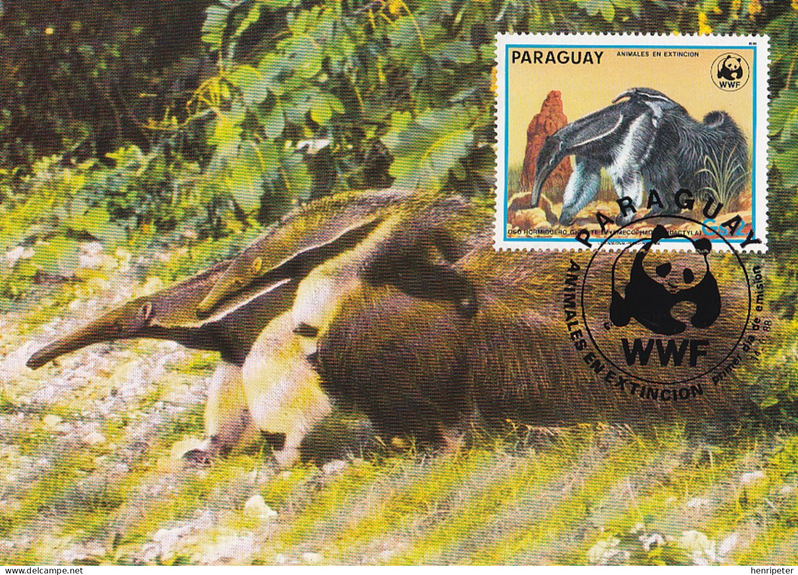 Série De 4 Cartes Maxima - Faune En Danger D'extinction - Fourmilier Géant Tatou Géant Tatou à 9 Bandes - Paraguay 1988 - Paraguay