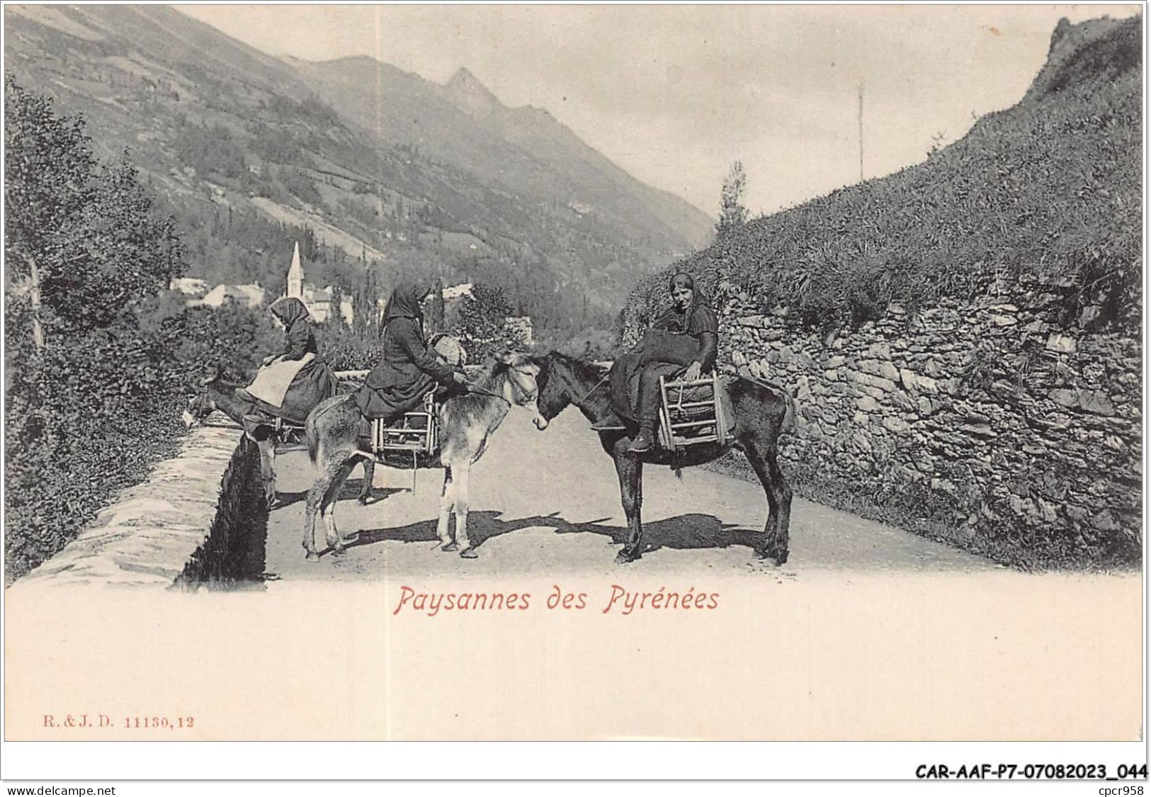 CAR-AAFP7-65-0579 - Paysannes Des Pyrénées - Anes - Sonstige & Ohne Zuordnung