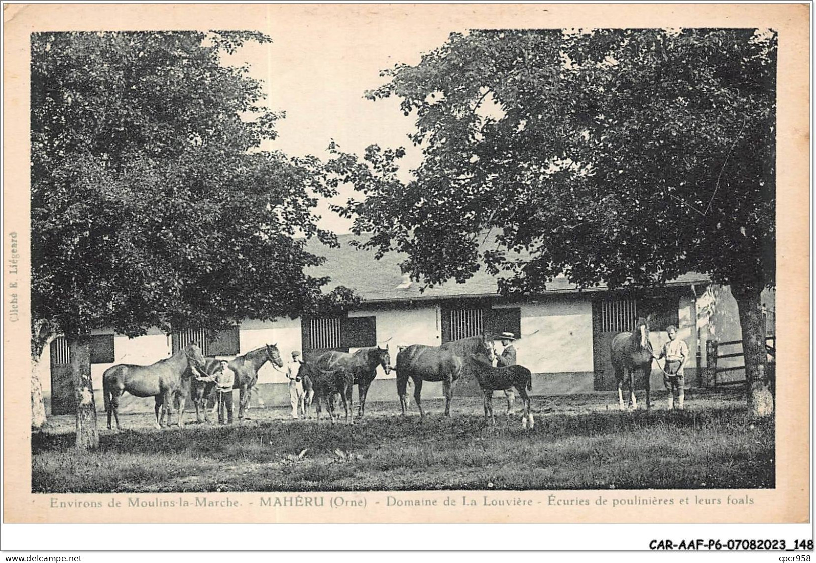 CAR-AAFP6-61-0533 - Environs De MOULINS-LA-MARCHE - MAHERU - Domaine De La Louvière - Moulins La Marche