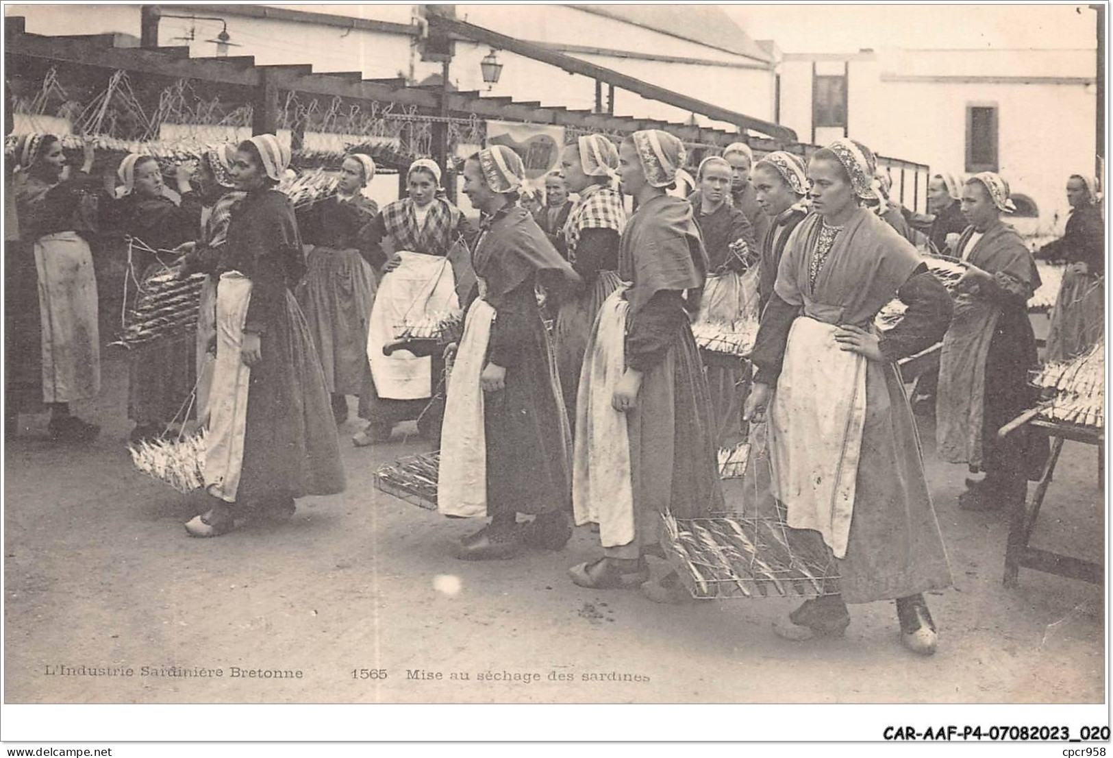 CAR-AAFP4-29-0285 - Mise Au Séchage Des Sardines - Autres & Non Classés