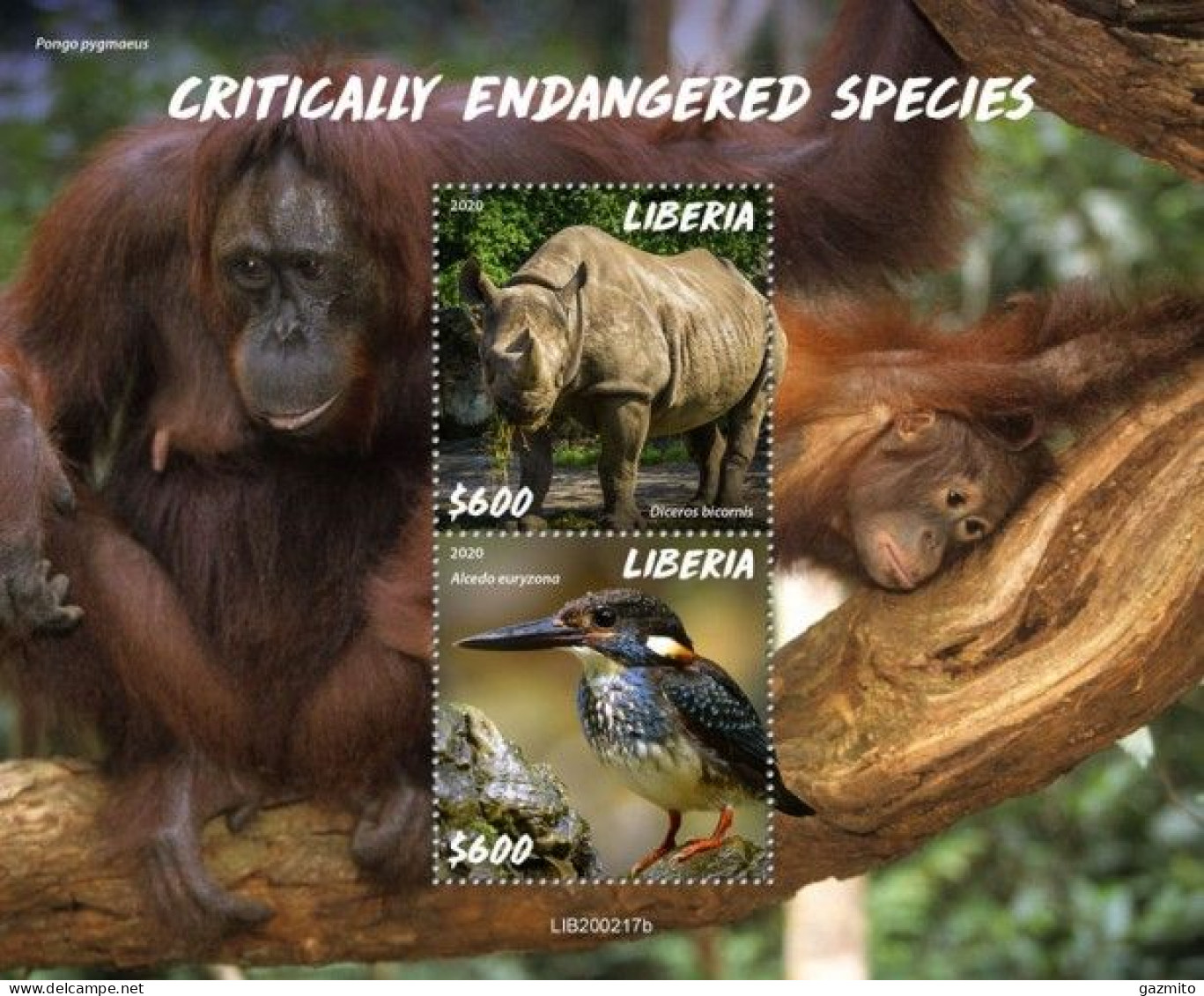 Liberia 2020, Animals In Danger, Rhino, Kingfisher, Gorillas, BF - Sonstige & Ohne Zuordnung