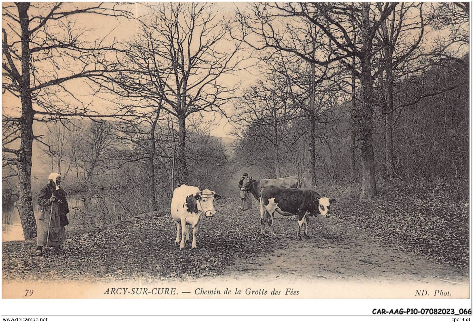 CAR-AAGP10-89-0925 - ARCY-SUR-CURE - Chemin De La Grotte Des Fées - Agriculture - Autres & Non Classés