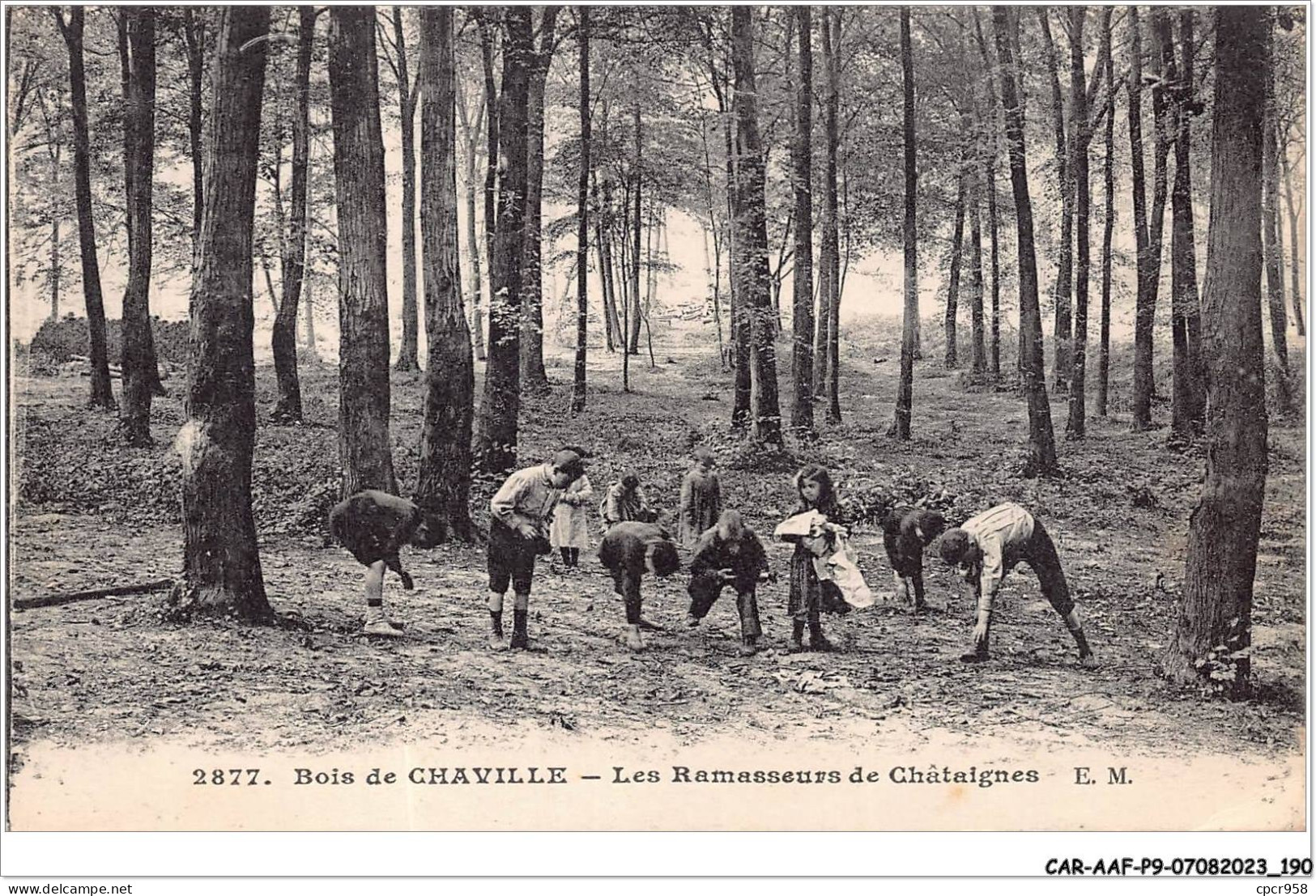 CAR-AAFP9-92-0850 - Bois De CHAVILLE - Les Ramasseurs De Châtaignes - Agriculture - Chaville