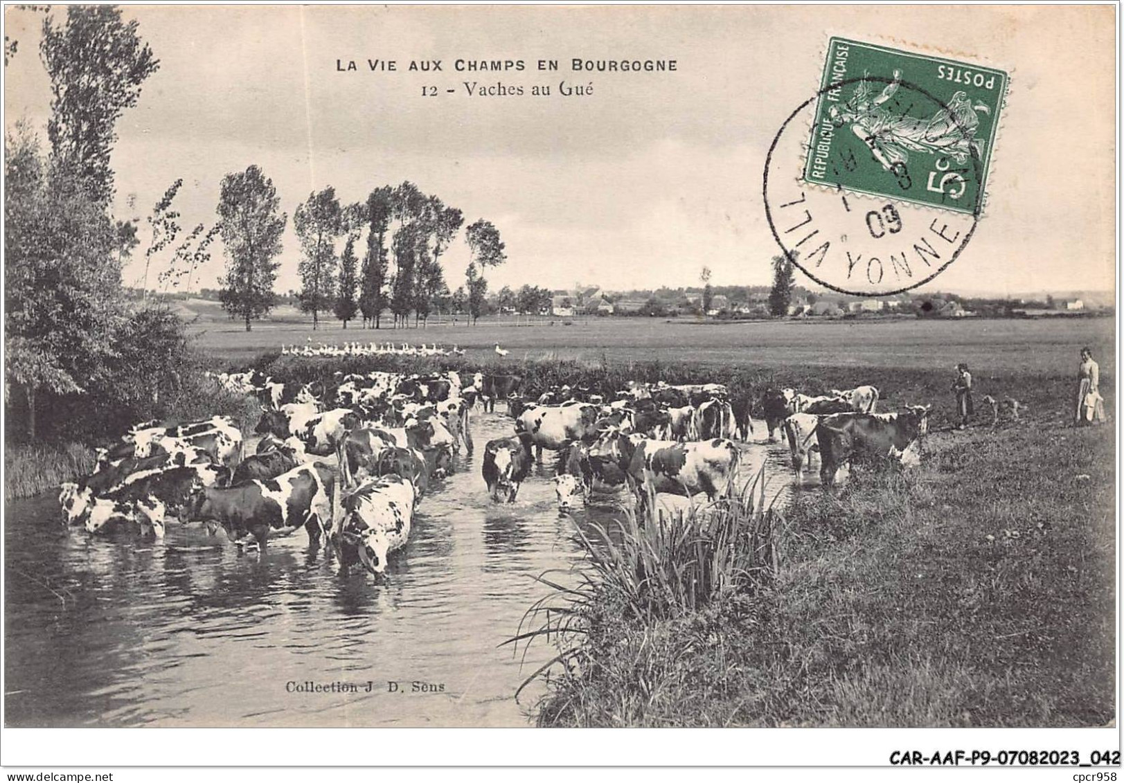 CAR-AAFP9-89-0776 - La Vie Aux Champs En Bourgogne - Vaches Au Gué - Agriculture - Autres & Non Classés