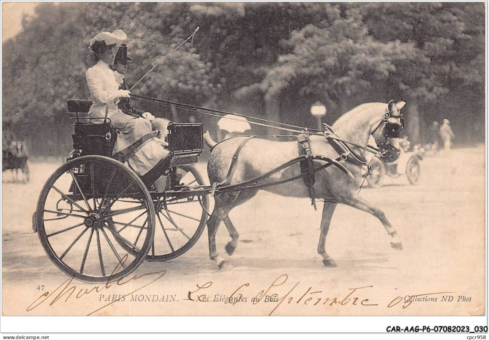 CAR-AAGP6-75-0498 - PARIS - Nos Elegantes Au Bois  - Sonstige & Ohne Zuordnung