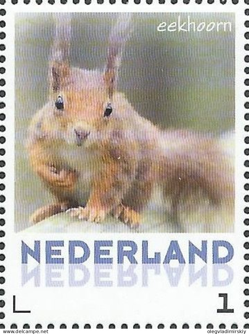 Netherlands Pays-Bas Niederlande 2013 Zoo Squirrel Stamp MNH - Nager