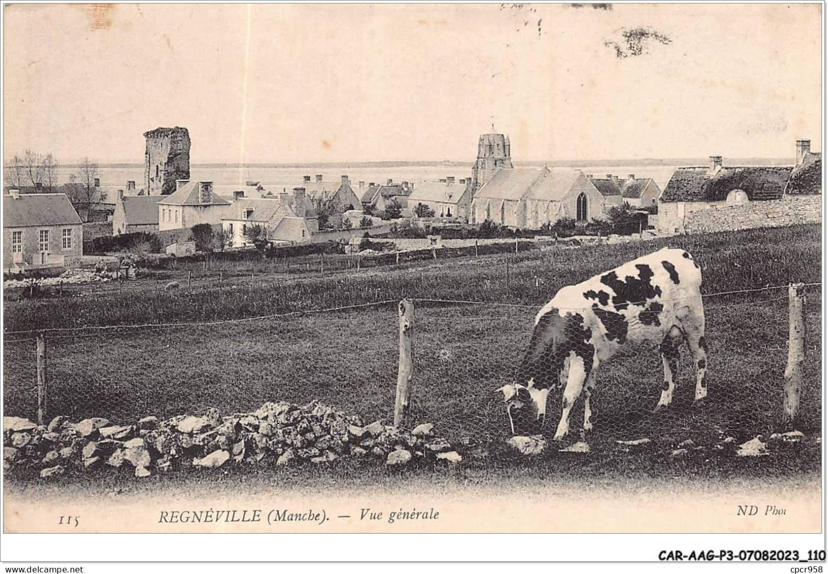 CAR-AAGP3-50-0255 - REGNEVILLE - Vue Générale - Agriculture - Other & Unclassified