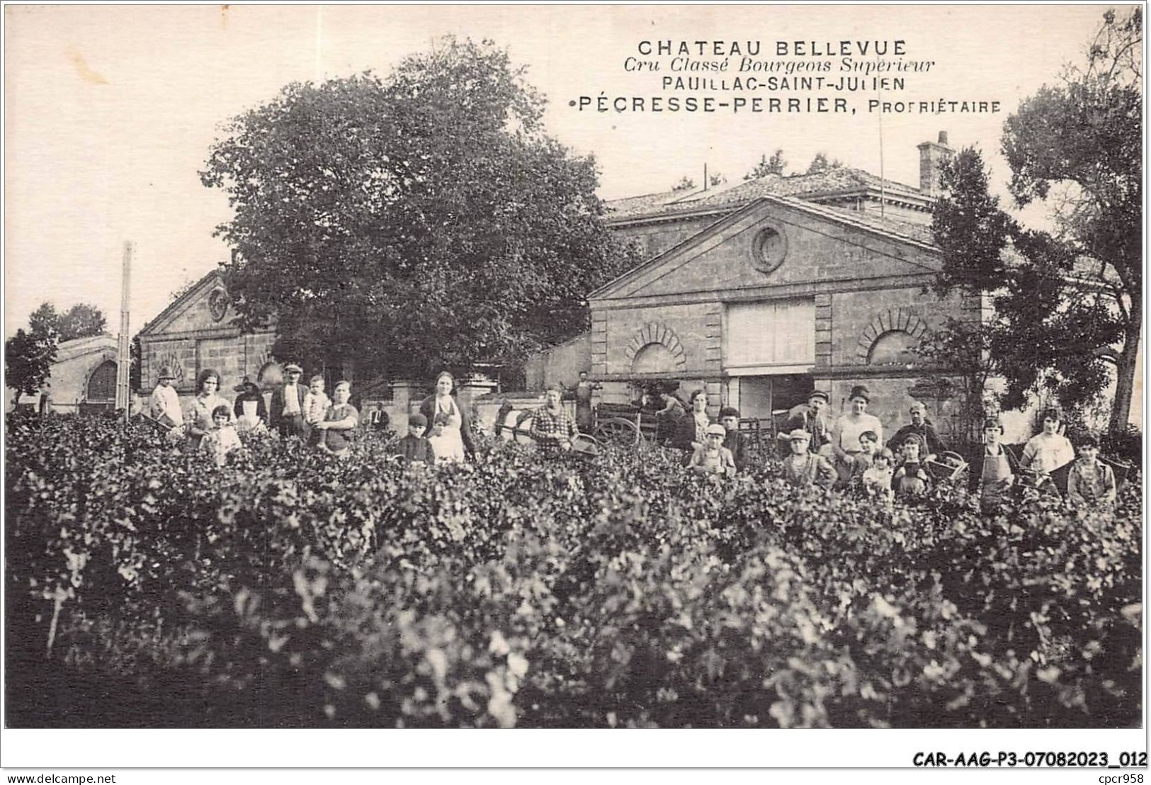 CAR-AAGP3-33-0206 - PAUILLAC - CHATEAU-BELLEVUE - Cru Classé Bourgeons Superieur - Carte Vendue En L'etat - Pauillac