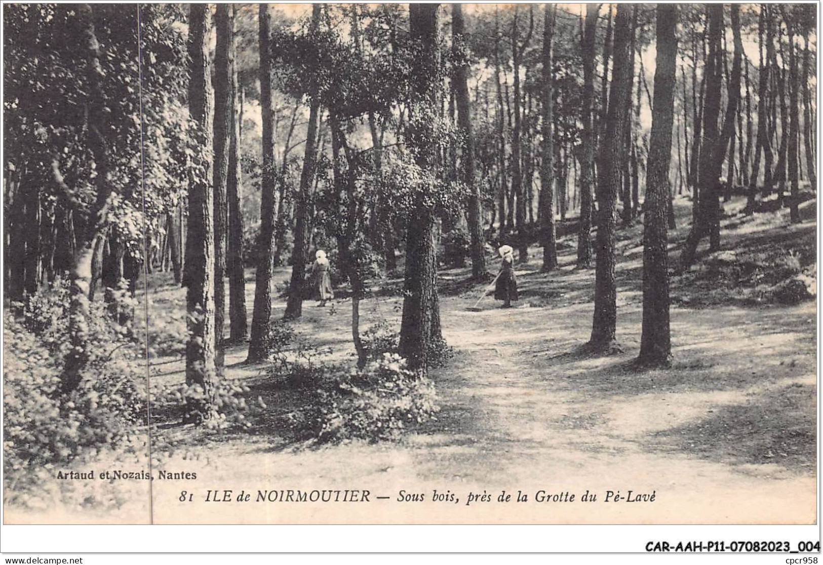 CAR-AAHP11-85-0963 - ILE DE NOIRMOUTIER - Sous Bois Près De La Grotte Du Pré-lavé - Ile De Noirmoutier